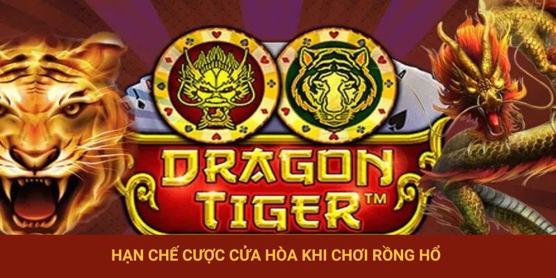 Khách hàng hạn chế xuống tiền cược cho cửa hòa khi chơi Rồng Hổ