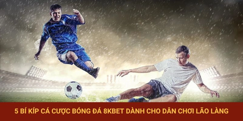 Cá Cược Bóng Đá 8KBET